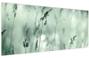 Tablou - Pajiște verde (120x50 cm)
