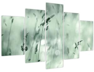 Tablou - Pajiște verde (150x105 cm)