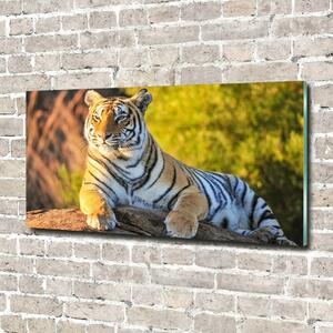 Tablou pe pe sticlă Portret de un tigru