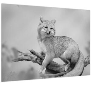 Tablou - Vulpe gri (70x50 cm)