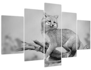 Tablou - Vulpe gri (150x105 cm)
