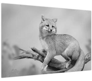 Tablou - Vulpe gri (90x60 cm)