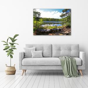 Pictură pe pânză Panorama de pădure