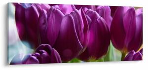 Tablou cu lalele (120x50 cm)