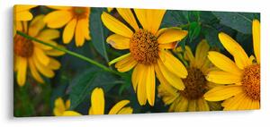 Tablou cu flori galbene (120x50 cm)
