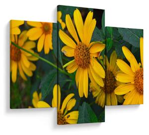 Tablou cu flori galbene (90x60 cm)