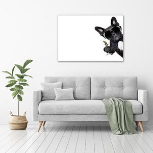 Imprimare tablou canvas Câine cu martini