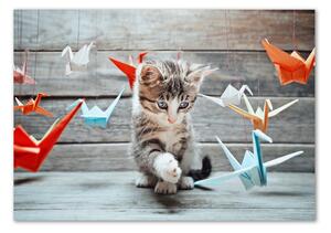 Fotografie imprimată pe sticlă Cat cu păsări de hârtie
