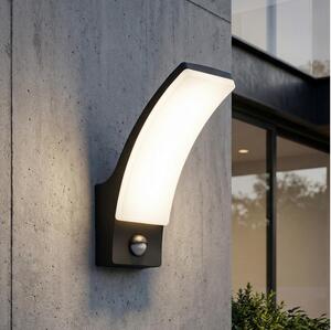 Brilagi - Lampă LED de perete pentru exterior ARCELO LED/12W/230V IP65 neagră
