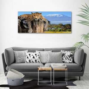 Imprimare tablou canvas Leopard pe un ciot de copac