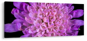 Tablou detailat cu floare (120x50 cm)