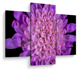 Tablou detailat cu floare (90x60 cm)
