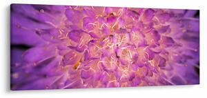 Tablou detailat cu floare (120x50 cm)