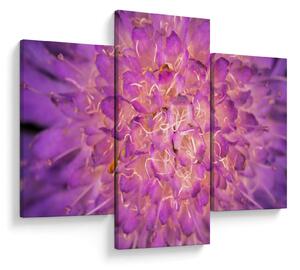 Tablou detailat cu floare (90x60 cm)