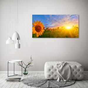 Imagine de sticlă câmp de floarea-soarelui