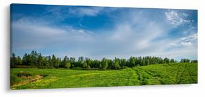 Tablou cu luncă (120x50 cm)