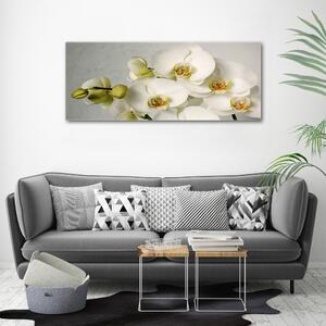 Print pe canvas alb orhidee