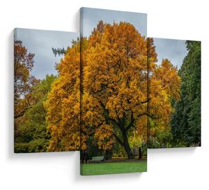 Tablou cu copac (90x60 cm)