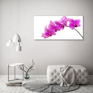 Imprimare tablou canvas orhidee roz