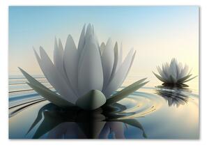 Tablou Printat Pe Sticlă floare de lotus