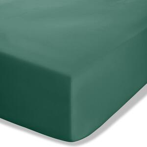 Cearceaf verde închis din bumbac percale cu elastic 90x190 cm Easy Iron Percale – Catherine Lansfield