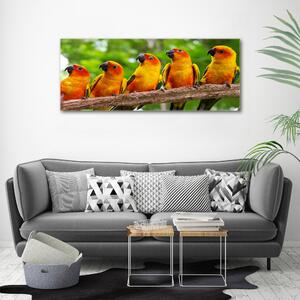 Tablou canvas Papagalii pe o ramură