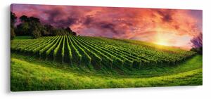 Tablou cu vie cu cerul color (120x50 cm)