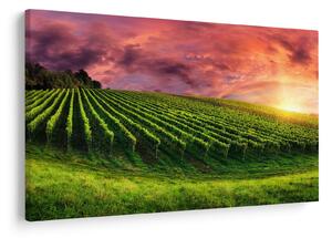 Tablou cu vie cu cerul color (90x60 cm)
