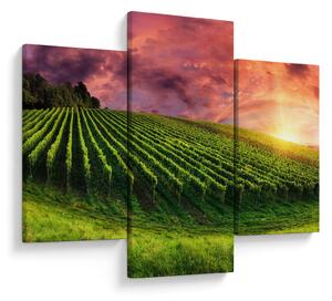 Tablou cu vie cu cerul color (90x60 cm)