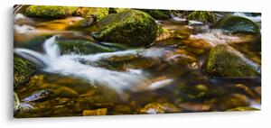 Tablou cu părâu (120x50 cm)