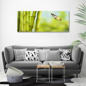 Tablou sticlă Bambus și fluture
