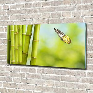 Tablou sticlă Bambus și fluture