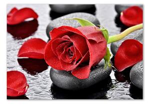 Imagine de sticlă Trandafir roșu