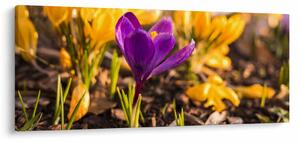 Tablou cu floare violetă (120x50 cm)