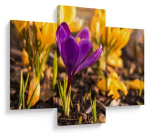 Tablou cu floare violetă (90x60 cm)