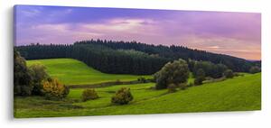 Tablou cu lunca (120x50 cm)