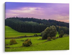 Tablou cu lunca (70x50 cm)