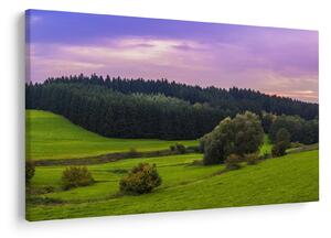 Tablou cu lunca (90x60 cm)