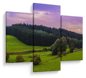Tablou cu lunca (90x60 cm)