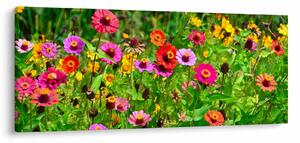 Tablou cu flori de luncă (120x50 cm)