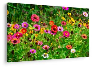 Tablou cu flori de luncă (90x60 cm)