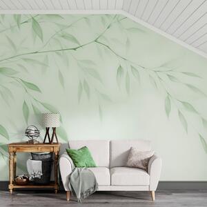 Tapet O ramură de copac, Fototapet Natură, Fototapet Frunze, w05682v3 : Uwalls.ro