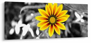 Tablou cu floare galbenă (120x50 cm)