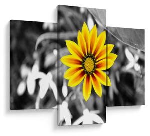 Tablou cu floare galbenă (90x60 cm)