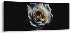 Tablou cu trandafir alb (120x50 cm)