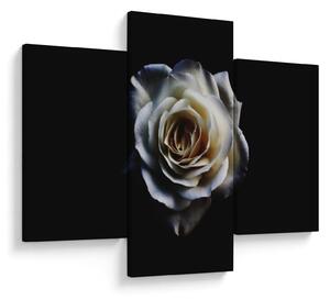 Tablou cu trandafir alb (90x60 cm)