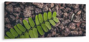 Tablou cu planta verde (120x50 cm)