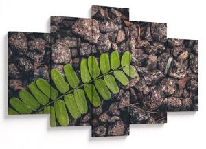Tablou cu planta verde (150x105 cm)