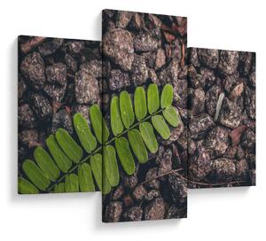 Tablou cu planta verde (90x60 cm)