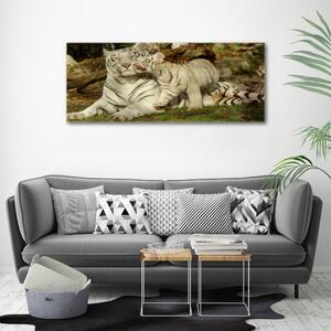 Tablou canvas Tigers